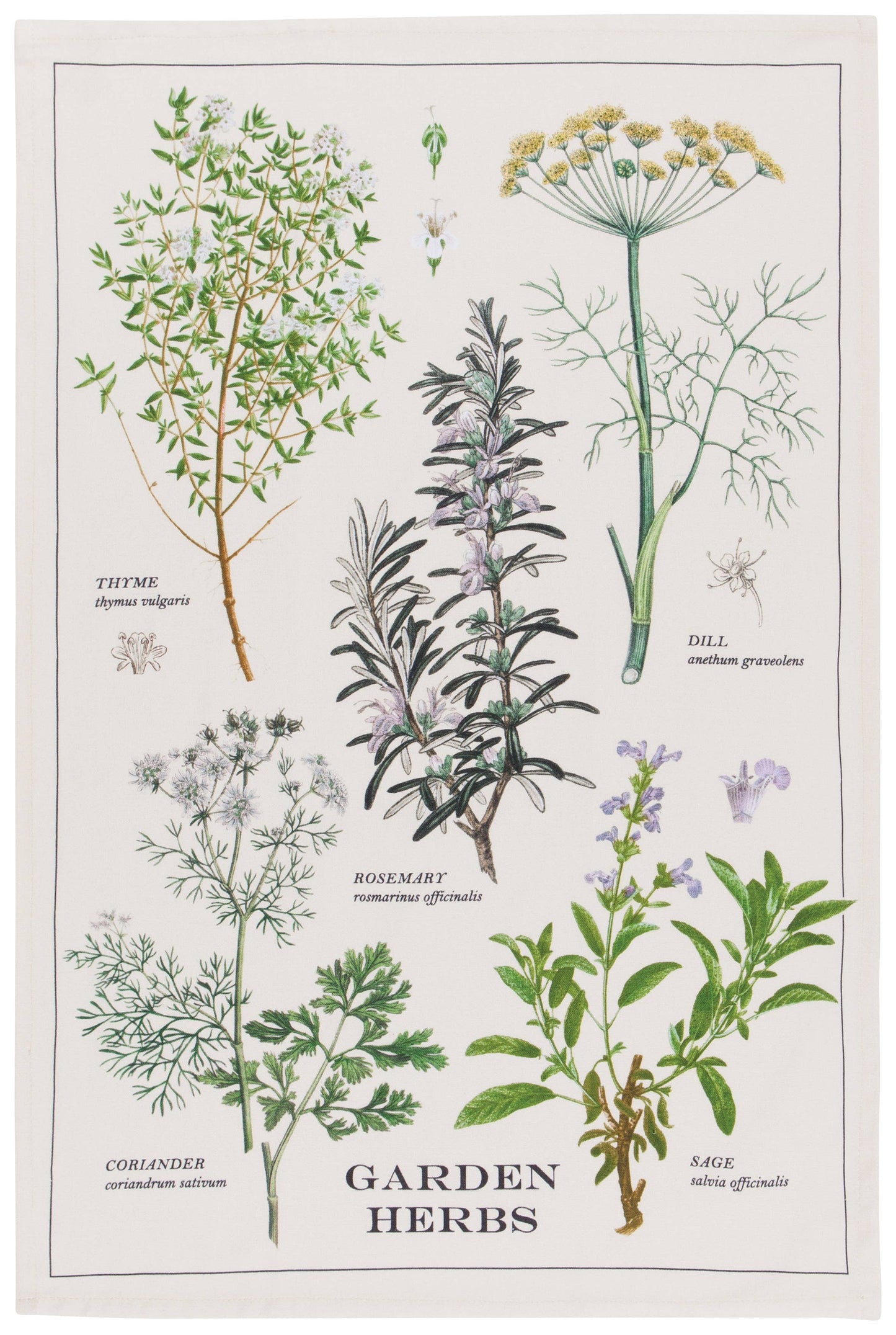 Dishtowel, Garden Herbs Dishtowel