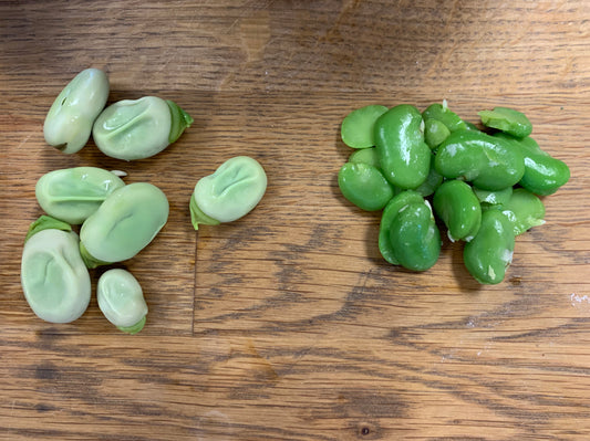 Fava Beans...what the heck do I do with these?????