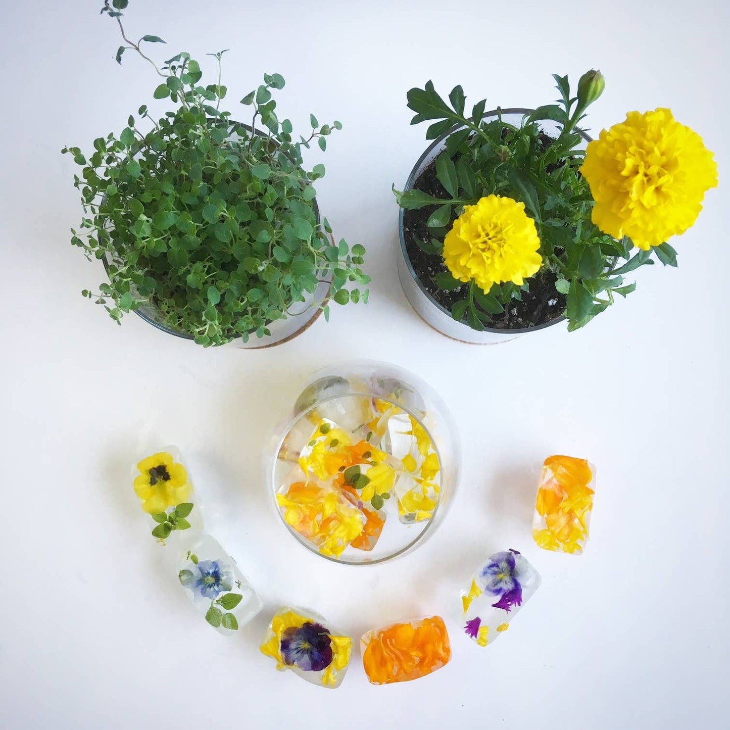 Pocket Garden, Edible Flowers