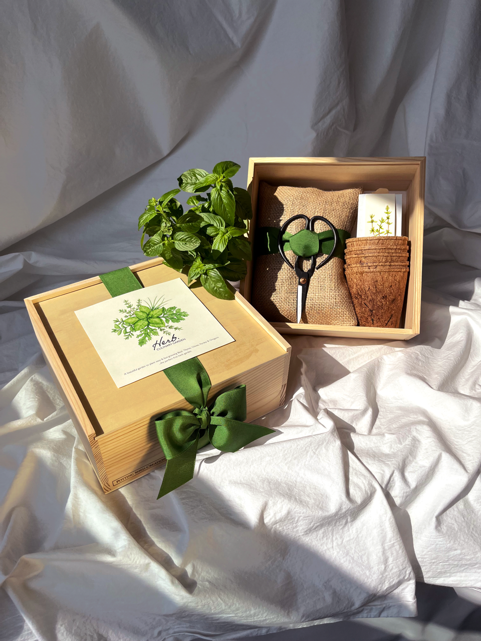 Culinary Herb Garden Gift