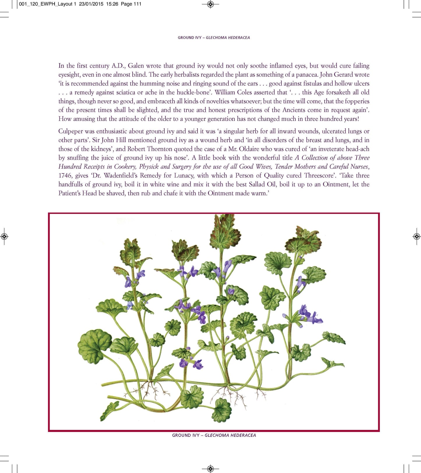 Book, Edible Wild Plants and Herbs