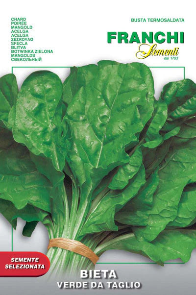 Sentio Chard Seeds, Chard Verde da Taglio – Guidetti's Marketplace