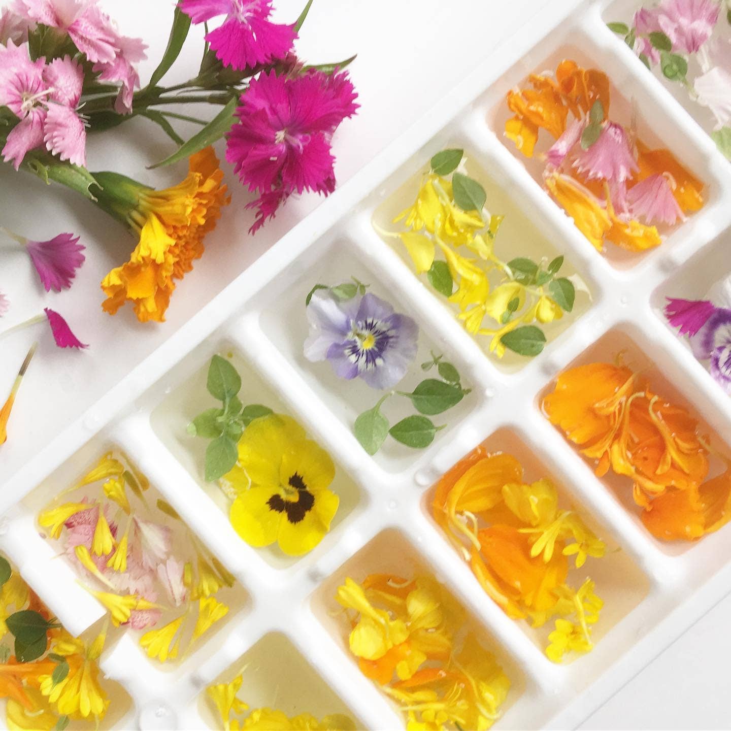 Pocket Garden, Edible Flowers