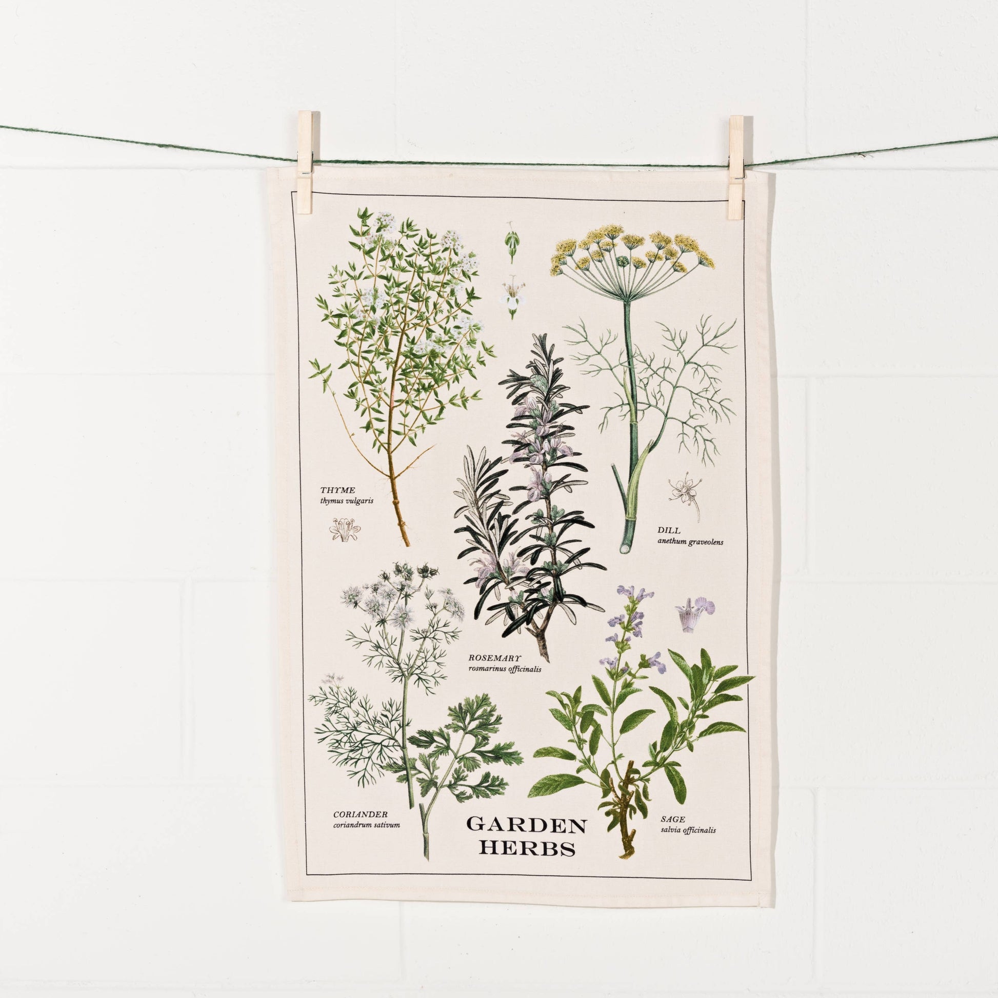 Fresh Herb Dishtowel
