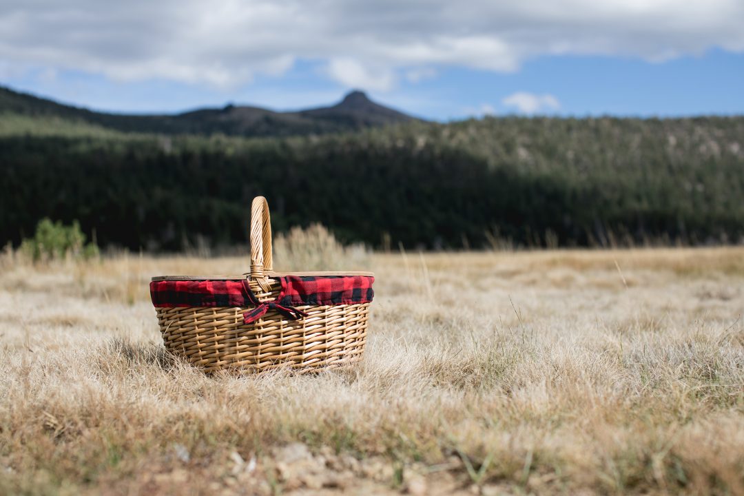 Buffalo Plaid Picnic Basket